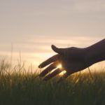 Expertise sectorielle : agriculture et agroalimentaire