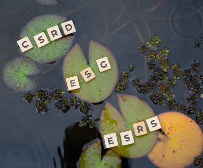 Wooden tiles with sustainability related abbreviations like CSRD, ESG and ESRS placed on water lilies in a pond